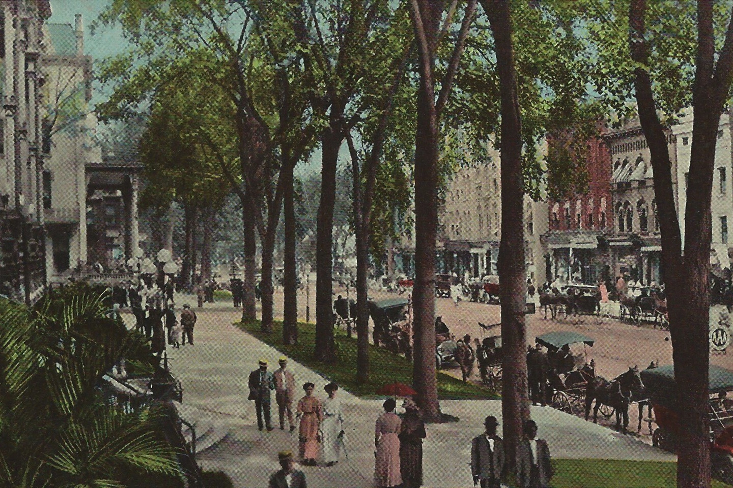 A tree-lined broad sidewalk in summer with people walking about and some carriages in the street